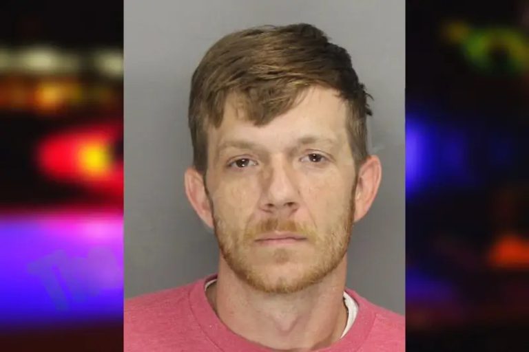 Levi Newman mugshot – Cobb County , Georgia Levi Newman