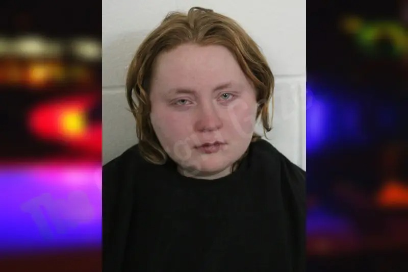 Lindsay Bedwell Mugshots