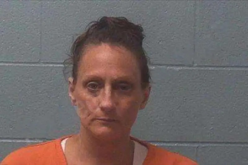 Lindsey Collins Mugshots