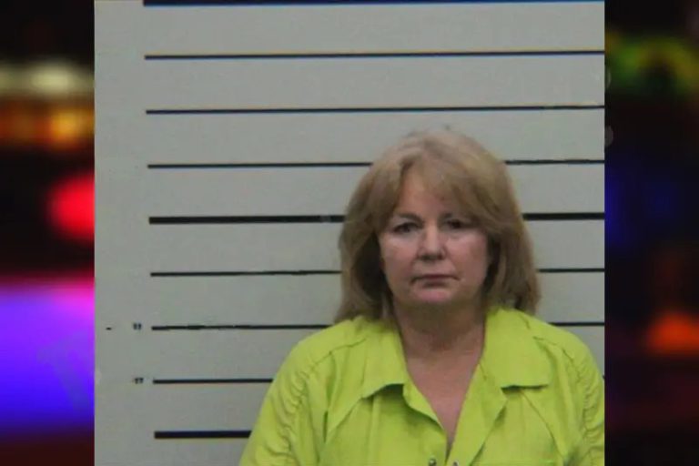 Lisa Peek mugshot – Turner County , Georgia Lisa Peek