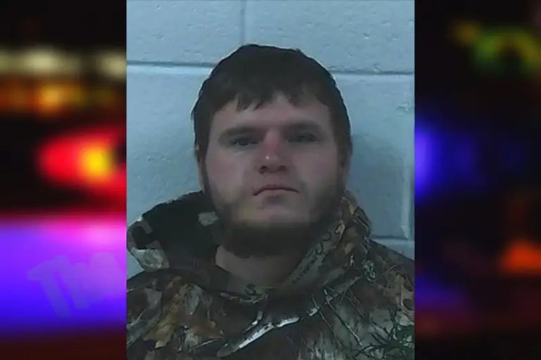 Logan Williams mugshot – Jackson County , Georgia Logan Williams