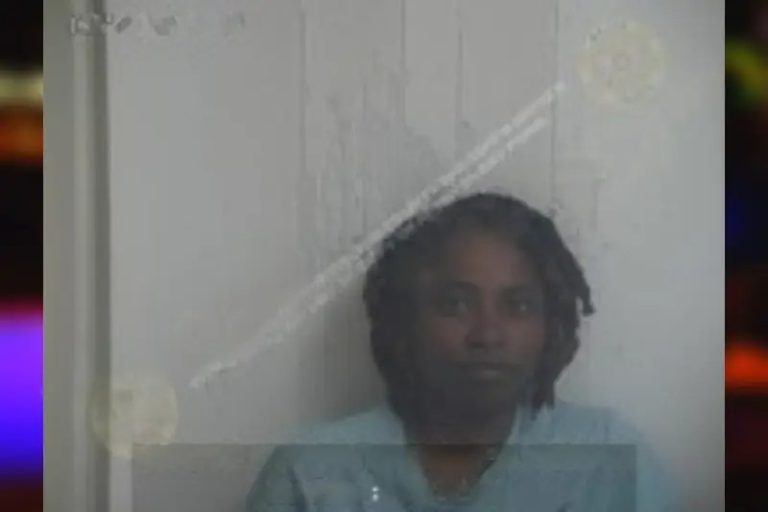 Maddison Akins mugshot – Walton County , Georgia Maddison Akins