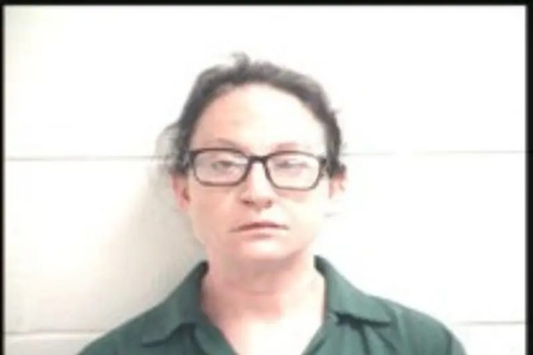 Mary Criscuolo mugshot – Henry County , Georgia Mary Criscuolo