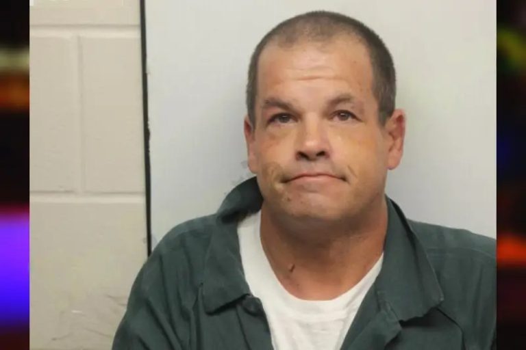 Matthew Lovell mugshot – Chatham County , Georgia Matthew Lovell