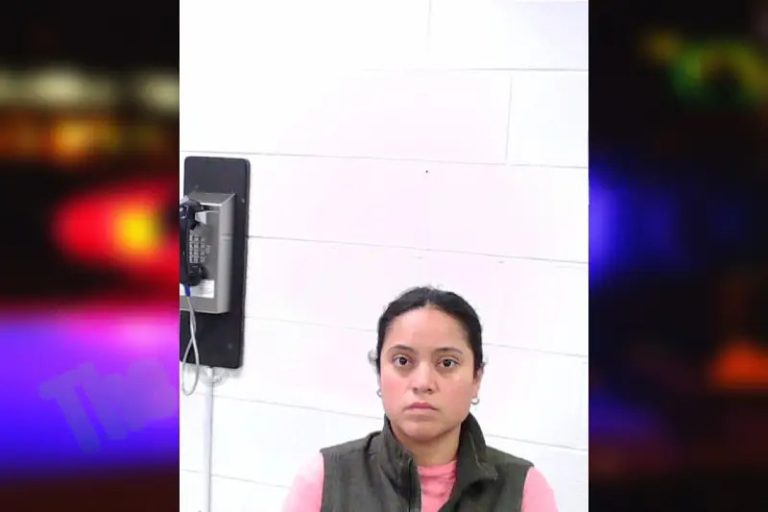 Melissa Palencia-Rivera mugshot – Fulton County , Georgia Melissa Palencia-Rivera