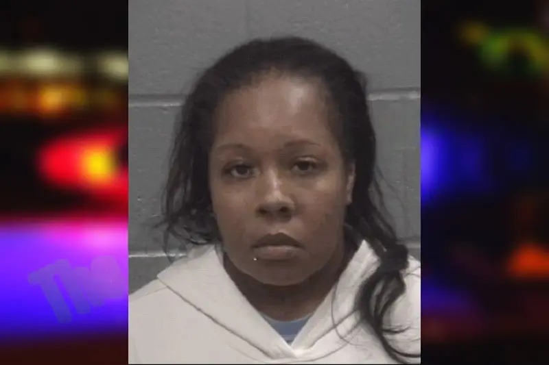 Melissa Towns Mugshots