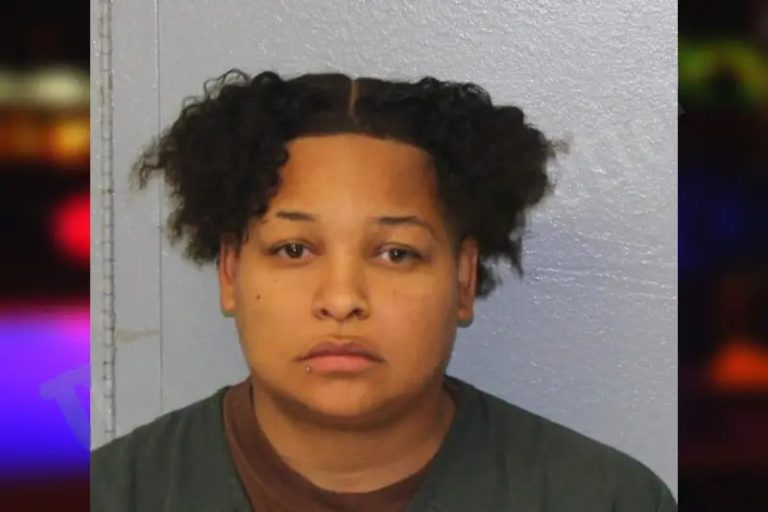 Melodi Graves mugshot – Mcintosh County , Georgia Melodi Graves