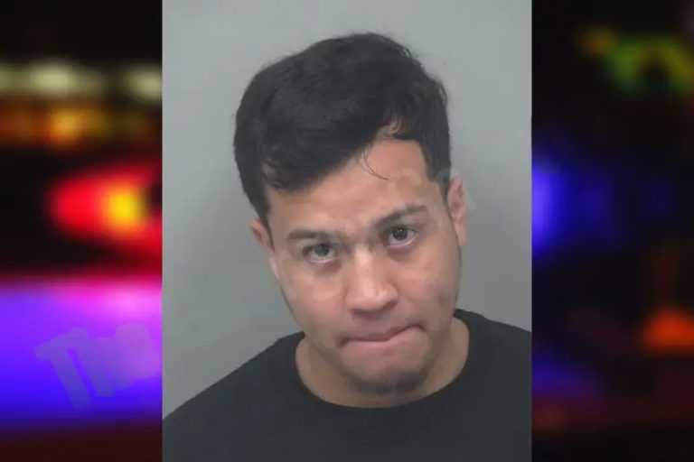 Miguel Andino Aguilar