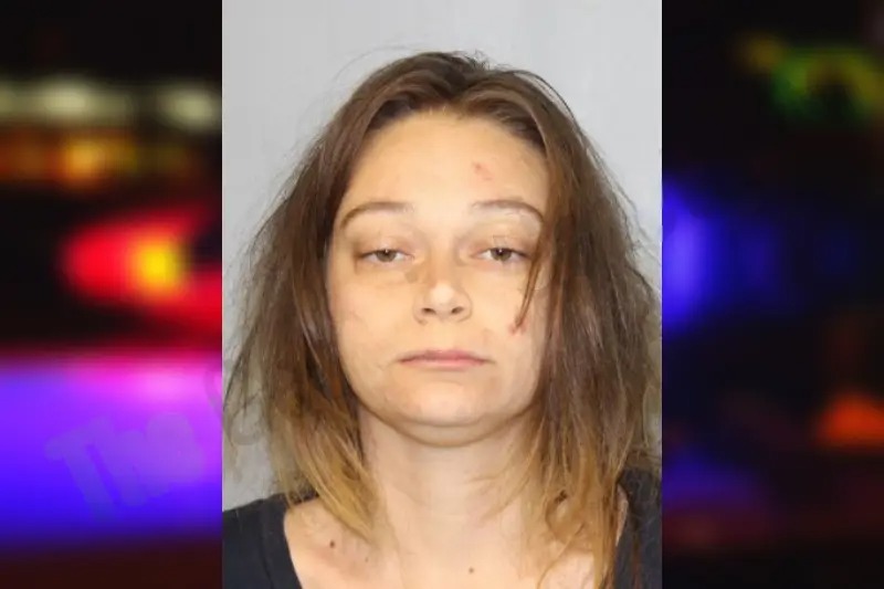 Morgan Chatham Mugshots