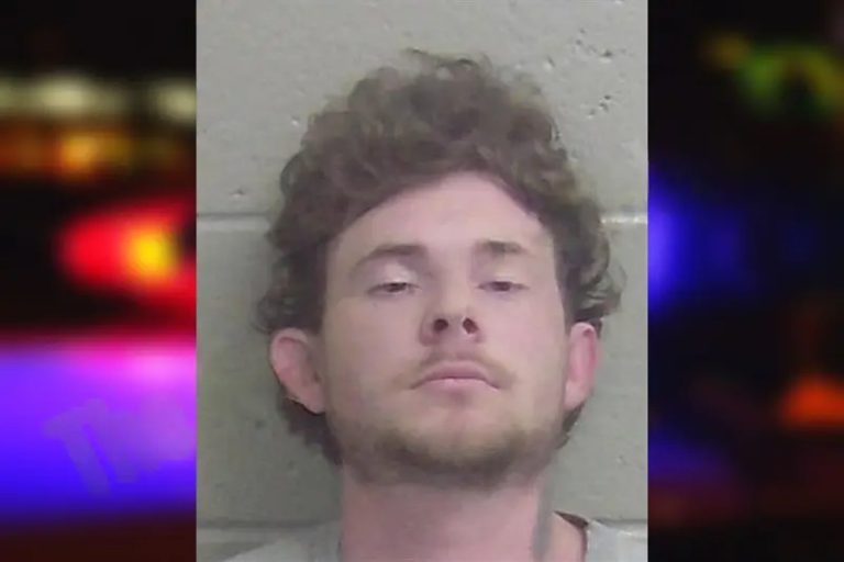 Nicolas Manning mugshot – Wayne County , Georgia Nicolas Manning