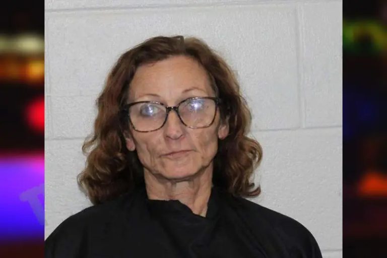 Rebecca Cook mugshot – Habersham County , Georgia Rebecca Cook