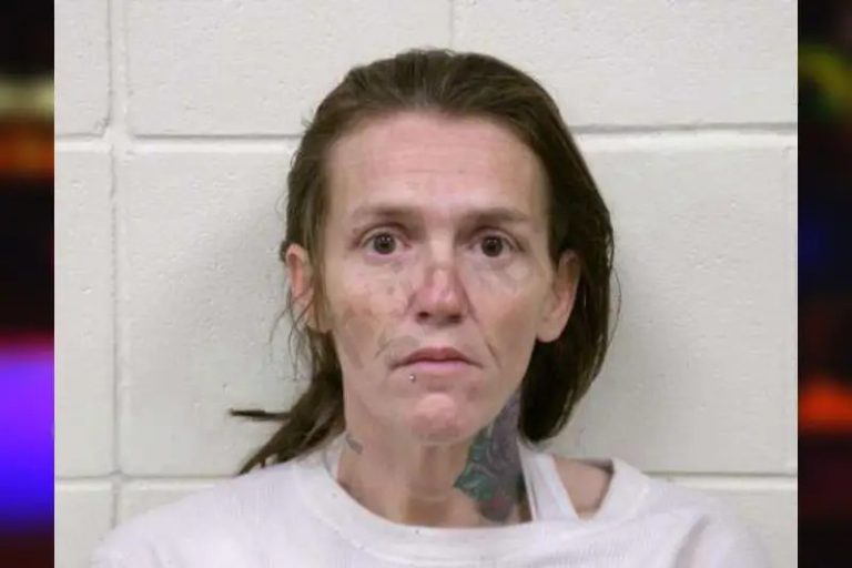 Rhonda Mock mugshot – Bulloch County , Georgia Rhonda Mock