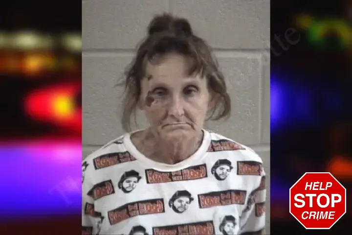 Robin Young Mugshots