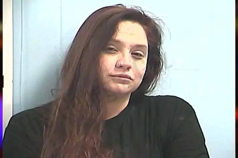 Robyn Laird Mugshots