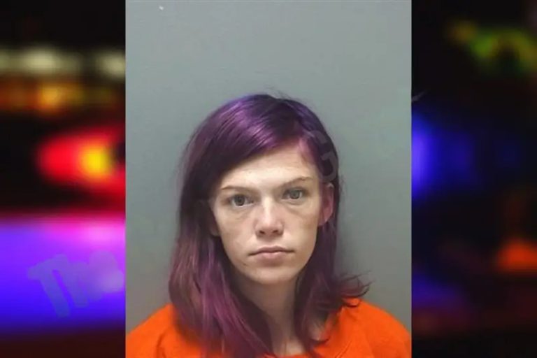 Samantha Evans mugshot – Cherokee County , Georgia Samantha Evans