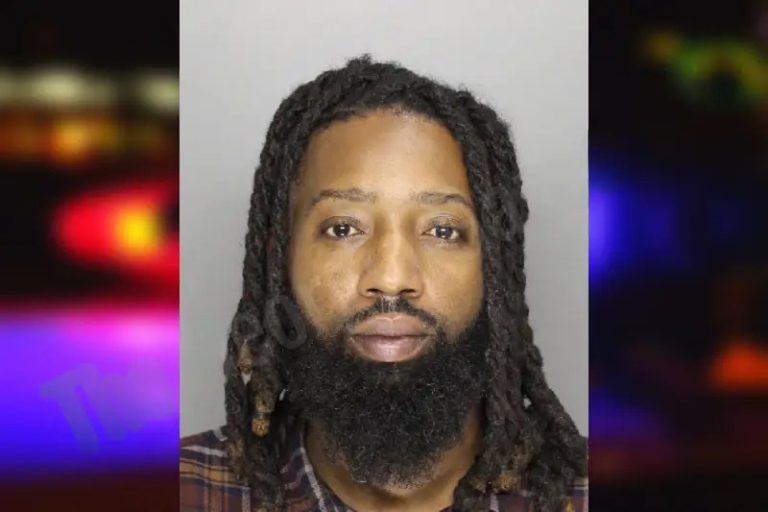 Sean McIntyre mugshot – Cobb County , Georgia Sean McIntyre