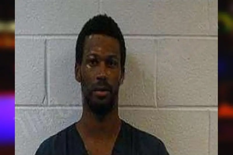 Shannon Love Mugshots