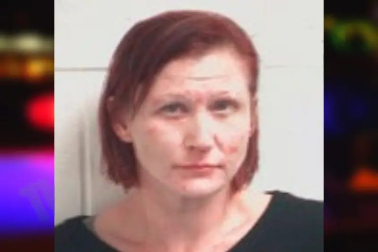 Shayna Polanco mugshot – Henry County , Georgia Shayna Polanco