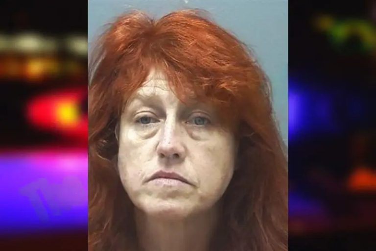 Sheila Miskelly mugshot – Cherokee County , Georgia Sheila Miskelly