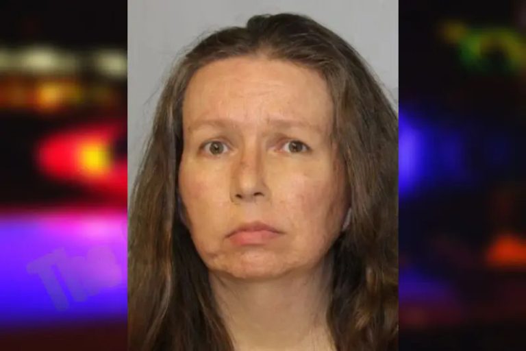 Stacy England mugshot – Hall County , Georgia Stacy England