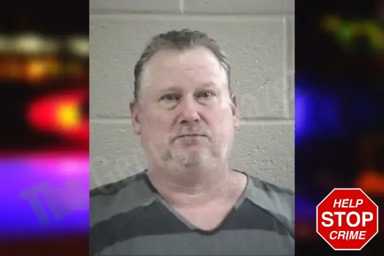 Stacy Henfling mugshot – Whitfield County , Georgia Stacy Henfling