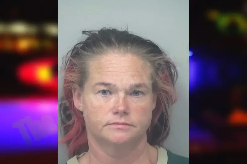 Stephanie Higginson Mugshots