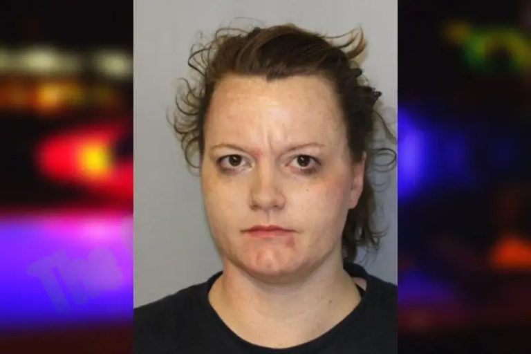 Stephanie Palmer mugshot – Hall County , Georgia Stephanie Palmer