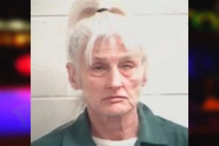 Susan Poole mugshot – Henry County , Georgia Susan Poole