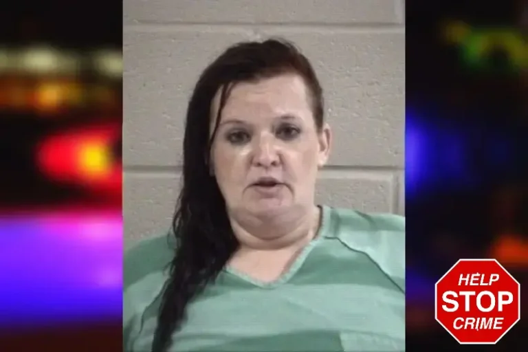 Tara Manning mugshot – Whitfield County , Georgia Tara Manning