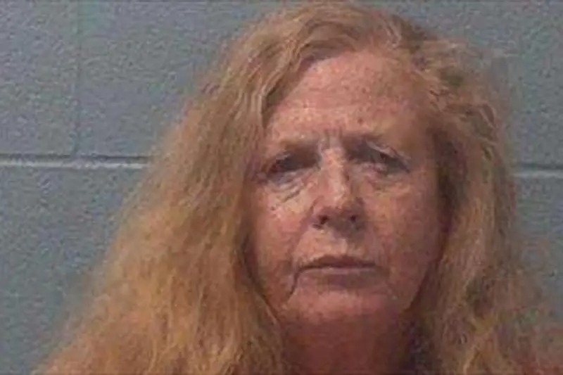 Teresa Therrien Mugshots