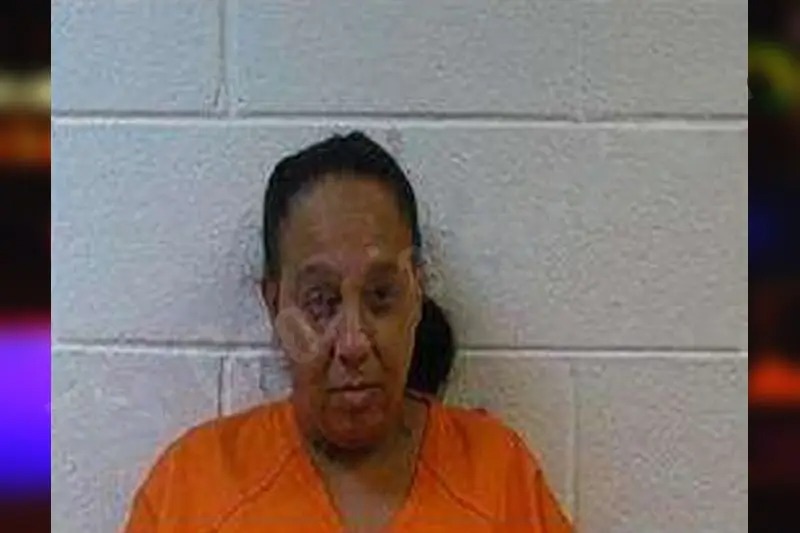 Terria Green Mugshots