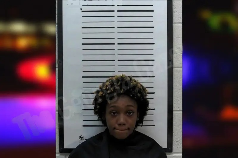 Theresa Wheeler Mugshots