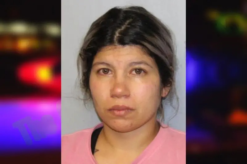 Vanessa Granados mugshot