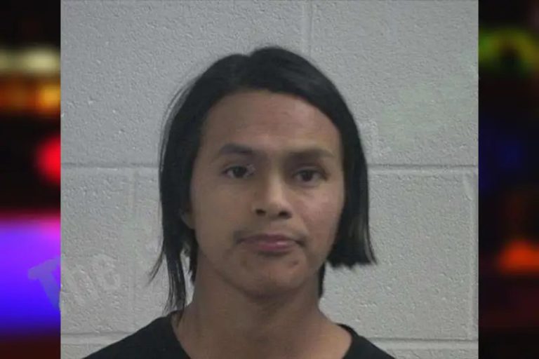 Wilson Domingo mugshot – McDuffie County , Georgia Wilson Domingo