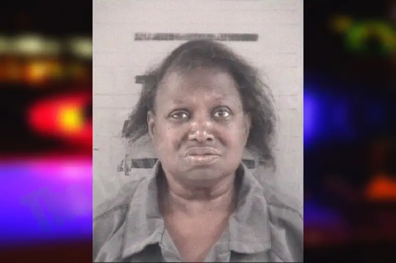 Yvonne Newton mugshot