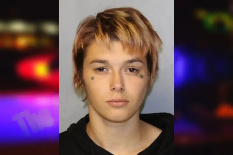 Abigail Lafreniere Mugshots