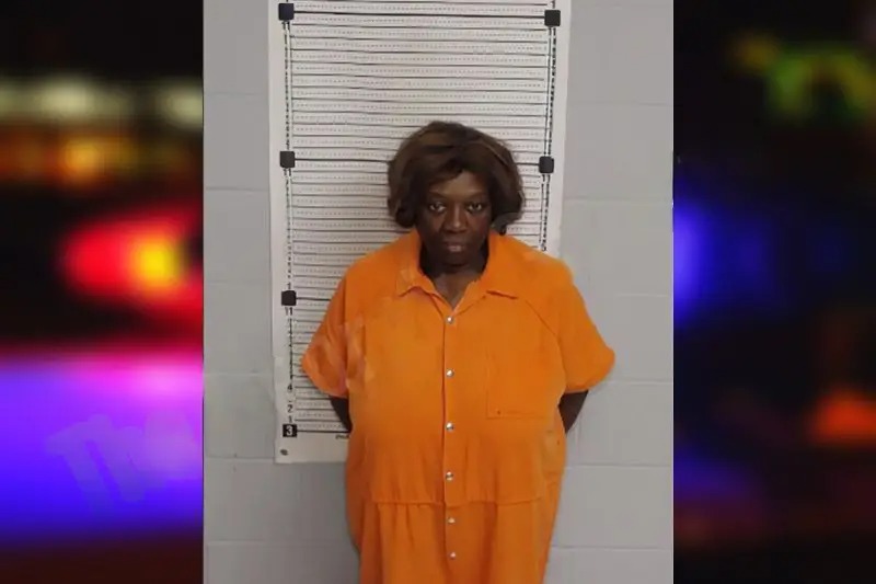 Adrienne Hickey mugshot