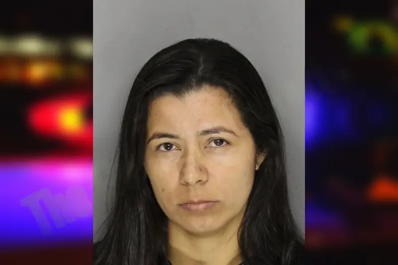 Adrille Reis Mugshots