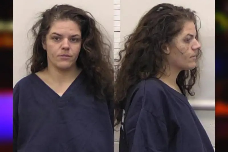 Ajla Kostic Mugshots