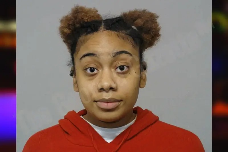 Alashia Bazille mugshot