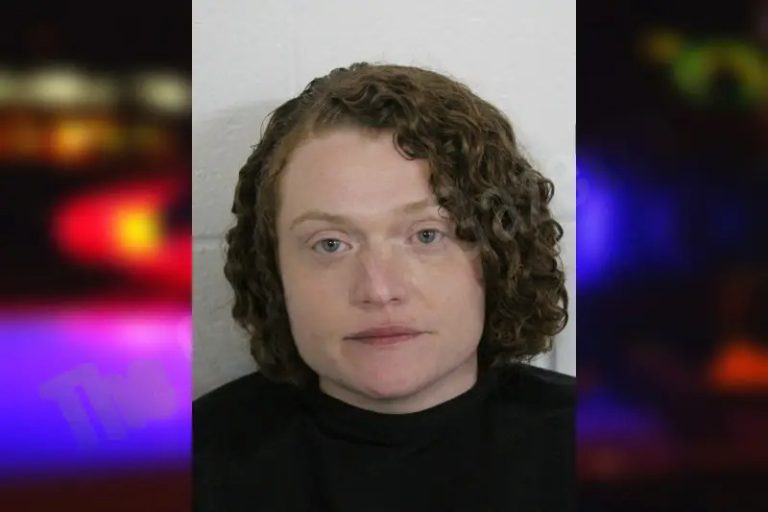 Amber Brannon mugshot – Floyd County , Georgia Amber Brannon