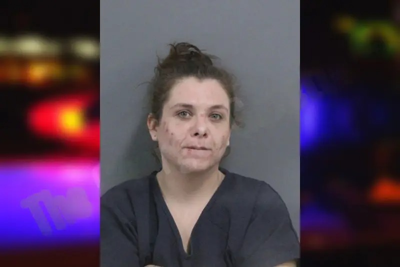 Amber Johnson Mugshots