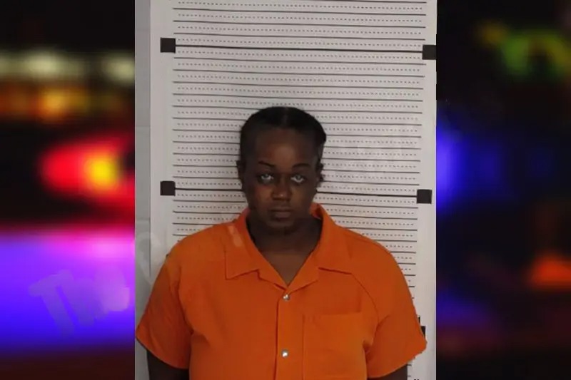 Andrea Jamison Mugshots