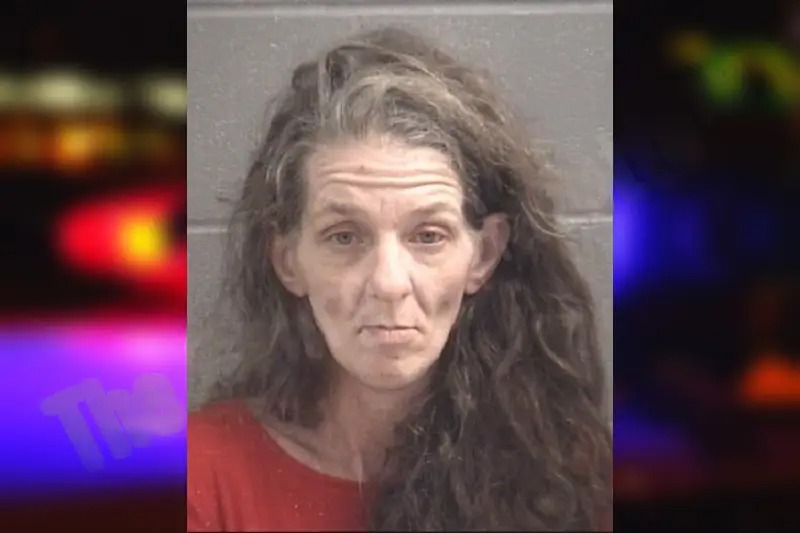 Andrea Ozley Mugshots