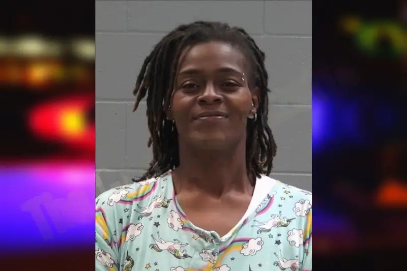 Anita Wilson Mugshots