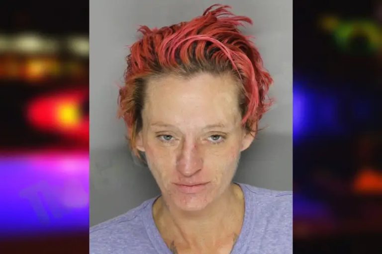 Arlene Cook mugshot – Cobb County , Georgia Arlene Cook