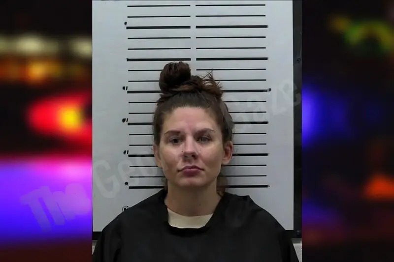 Ashley Sosebee Mugshots