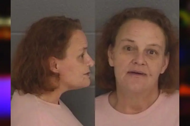 Bambi Phillips mugshot