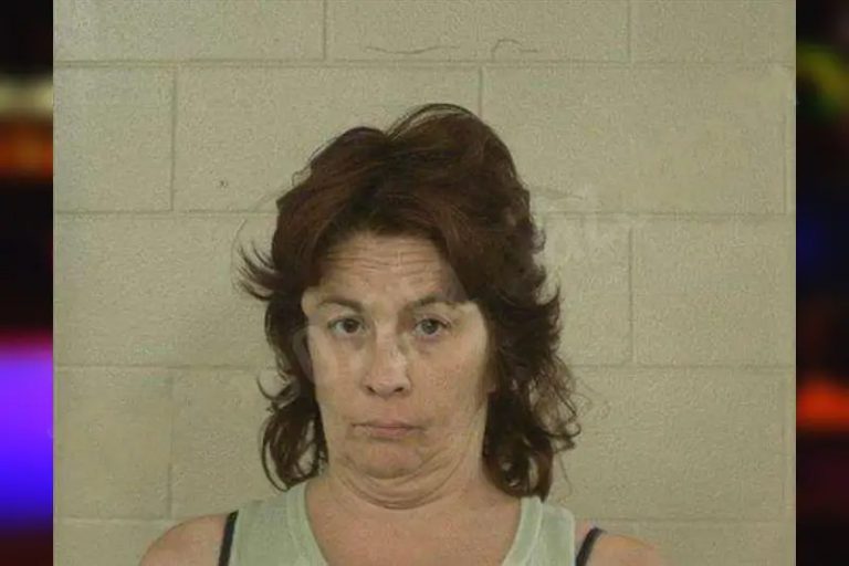 Belinda Moon mugshot – Liberty County , Georgia Belinda Moon
