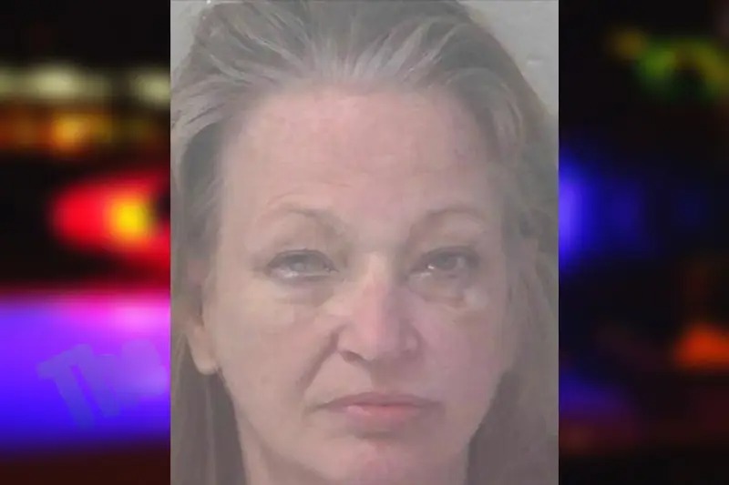 Bonnie Armistead Mugshots